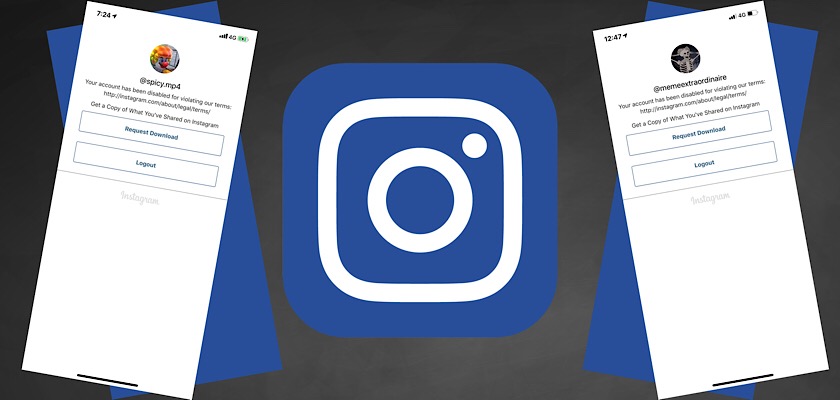 Instagram Mass Suspends 30 Meme Accounts With Over 33 Million Total Followers