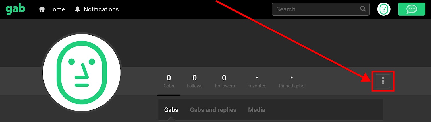 The three dots that open Gab settings.