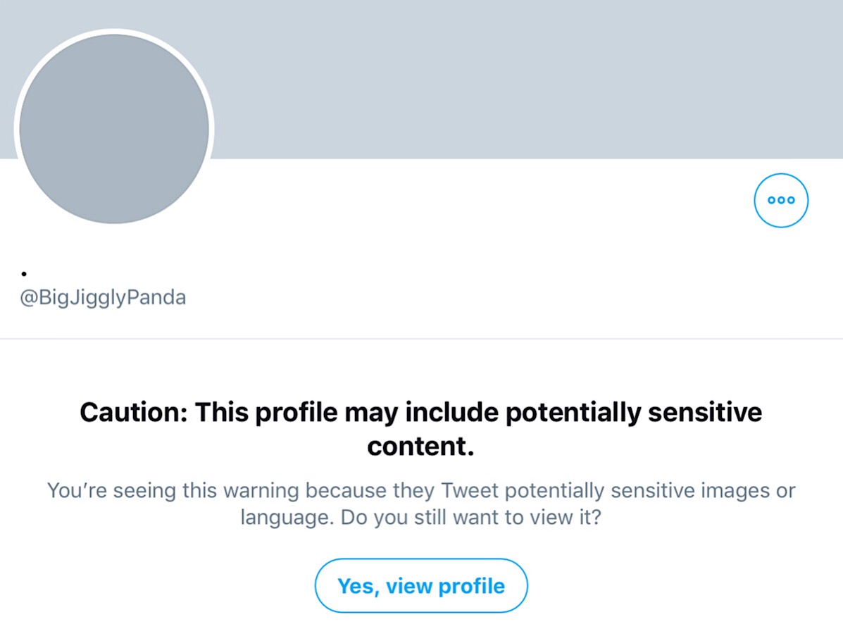 The “sensitive content” warning from the BigJigglyPanda Twitter account.