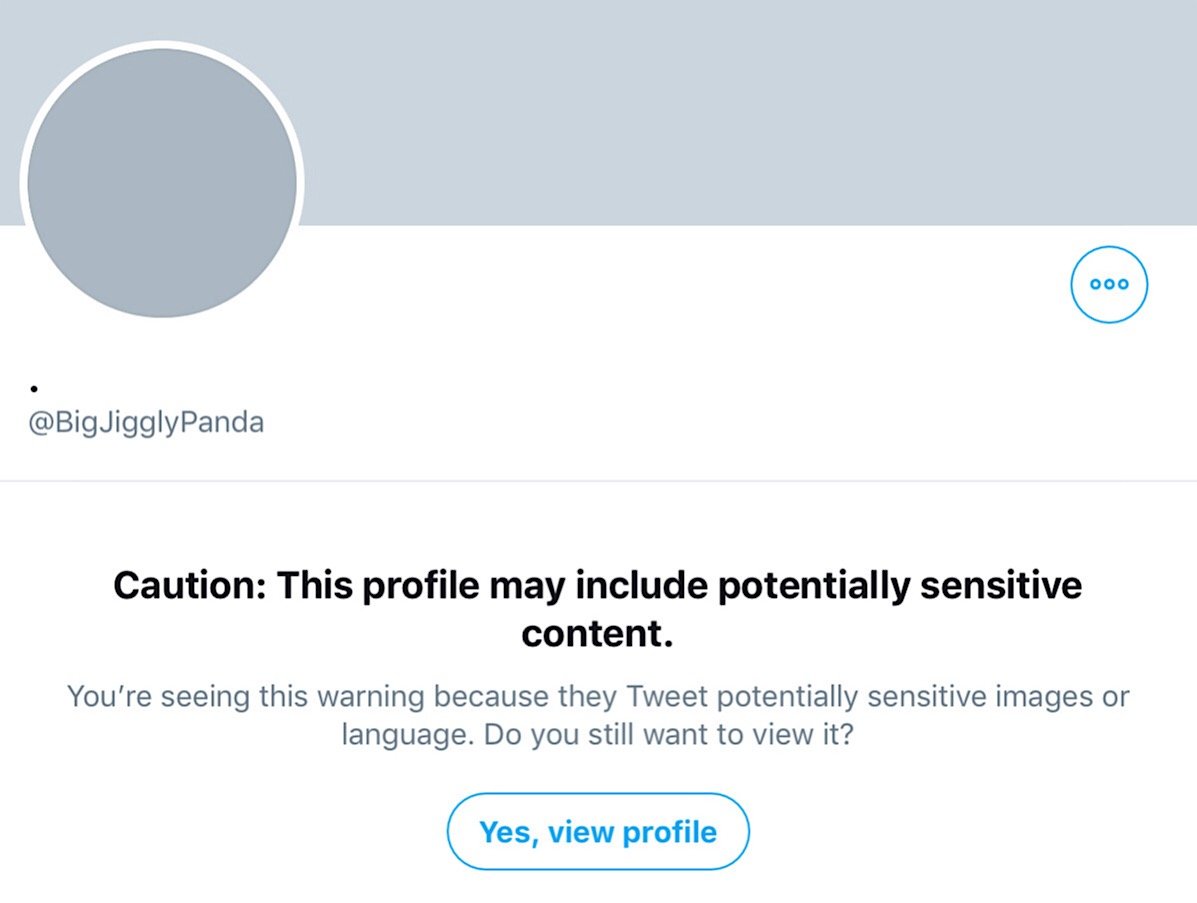 The “sensitive content” warning from the BigJigglyPanda Twitter account.