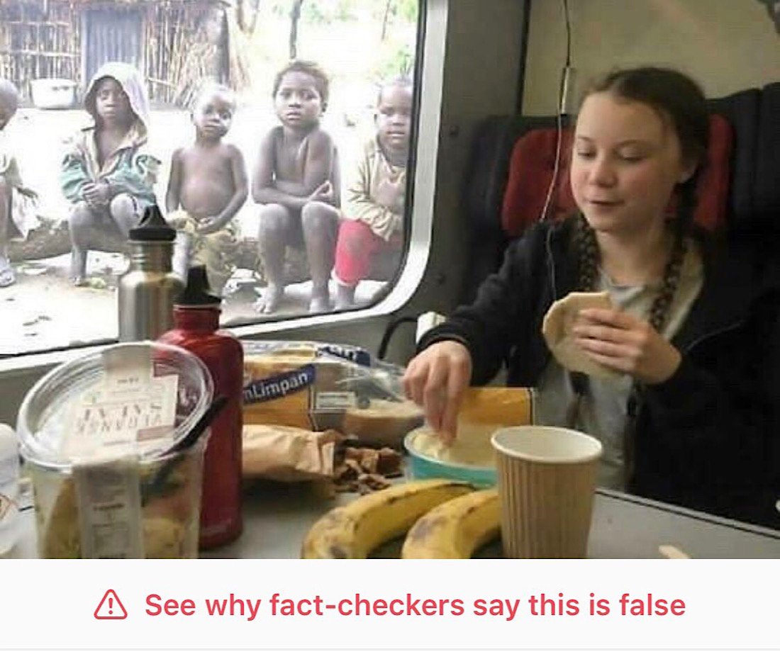 This Greta Thunberg meme was labeled false by Instagram’s fact-checkers (Summit News)