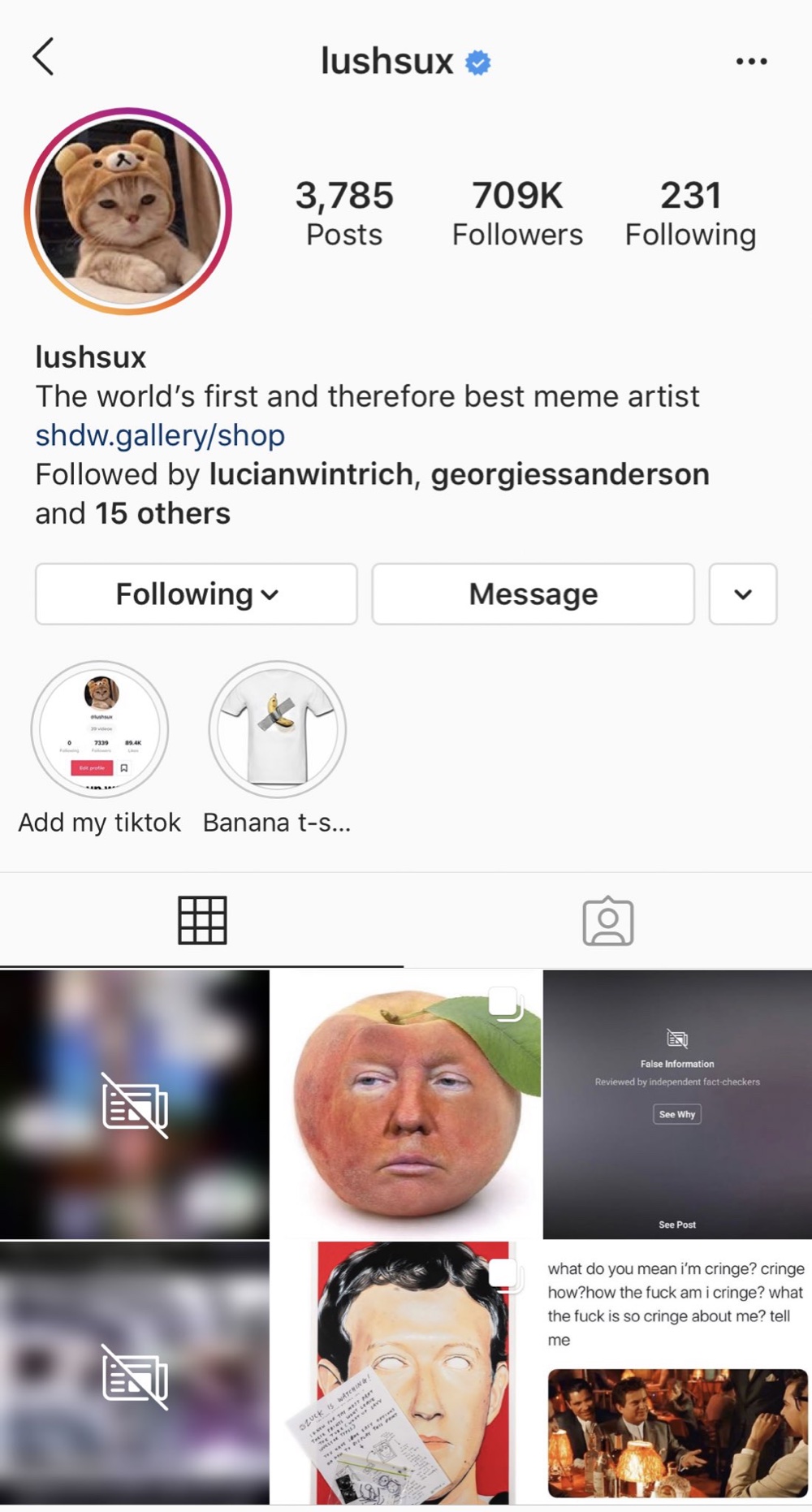 Half of the most recent memes on the lushsux Instagram page are now hidden behind fact-check notices (Instagram - @lushsux)