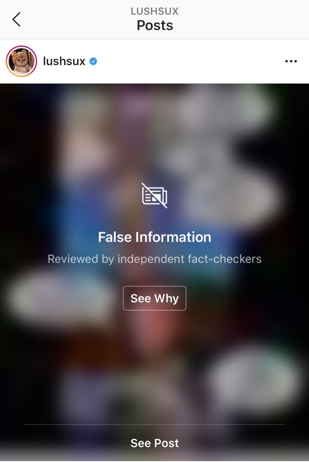 Instagram memes are being blurred out and hidden behind “False Information” notices (Instagram - @lushsux)