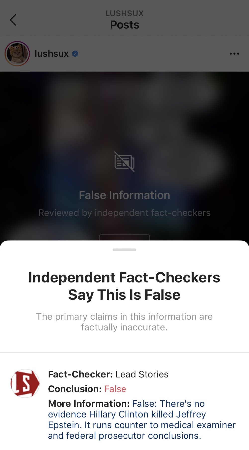 All Instagram memes that are labeled “False” now come with this information panel (Instagram - @lushsux)