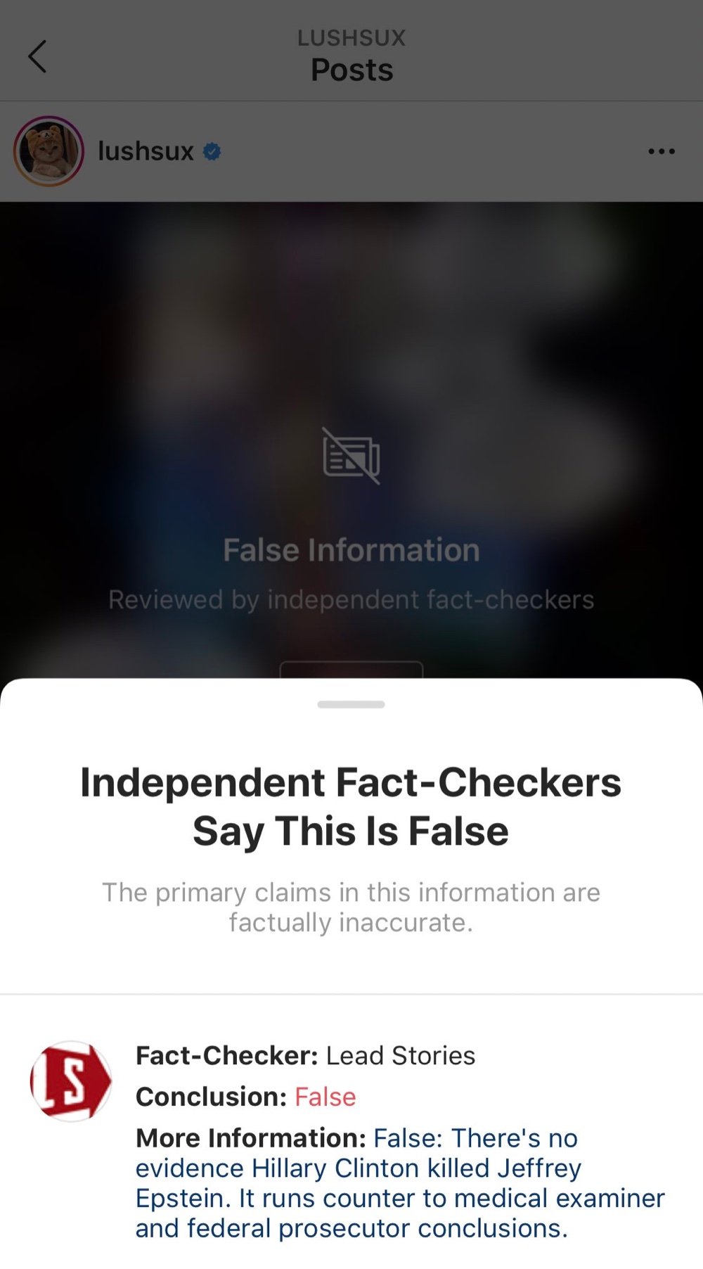 All Instagram memes that are labeled “False” now come with this information panel (Instagram - @lushsux)