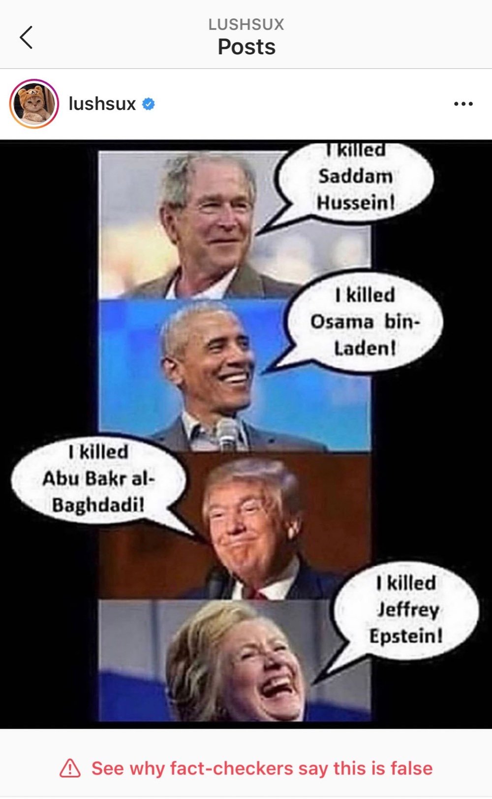 A Jeffrey Epstein meme that’s been fact-checked, labeled false, and hidden by Instagram (Instagram - @lushsux)