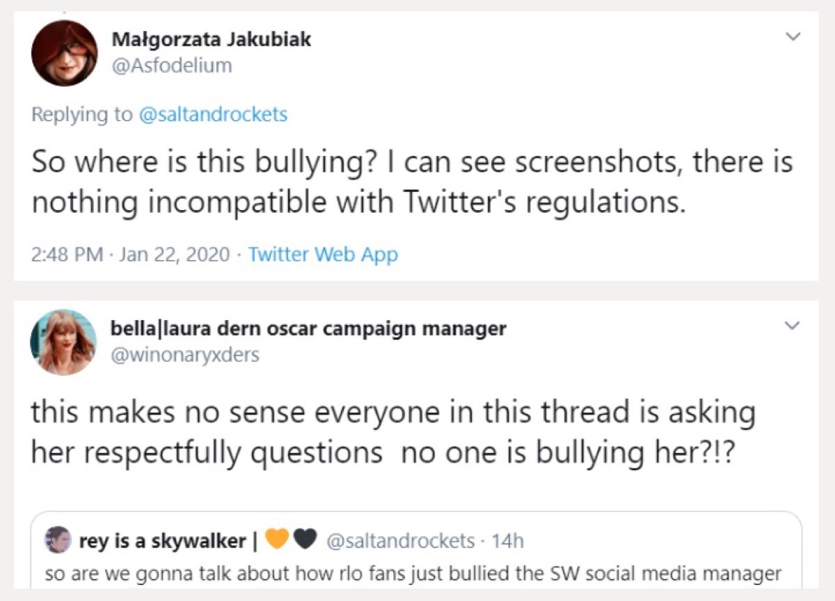 Several Reylos claimed there was no evidence of Buchman being bullyied (Twitter - @saltandrockets)