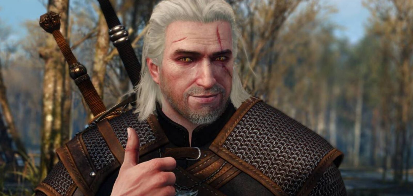 the witcher 3 series