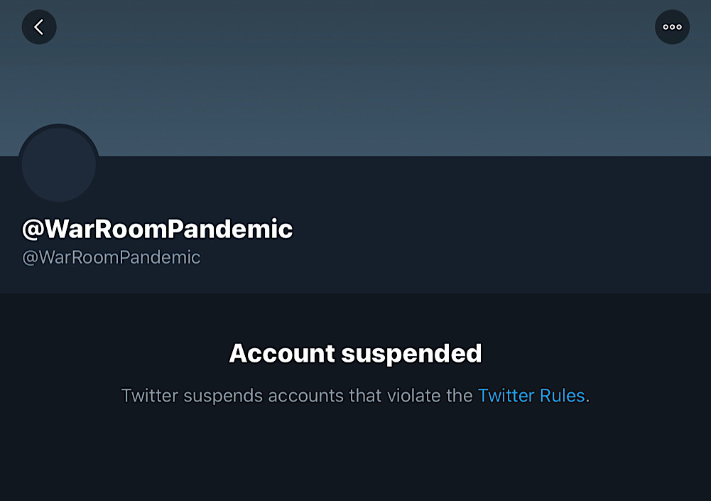 Steve Bannon’s War Room: Pandemic podcast was suddenly suspended from Twitter (Twitter - @WarRoomPandemic)