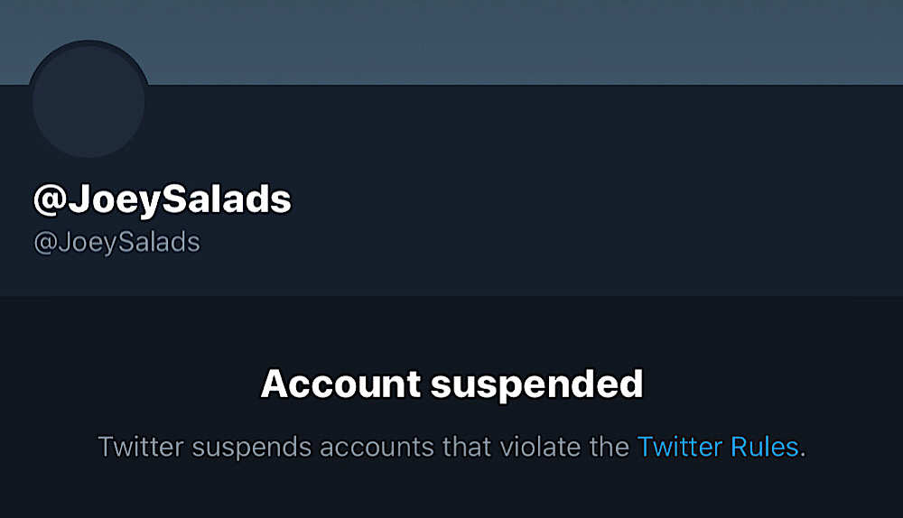 Joey Saladino’s profile says the account was suspended for violating Twitter’s rules (Twitter - @JoeySalads)