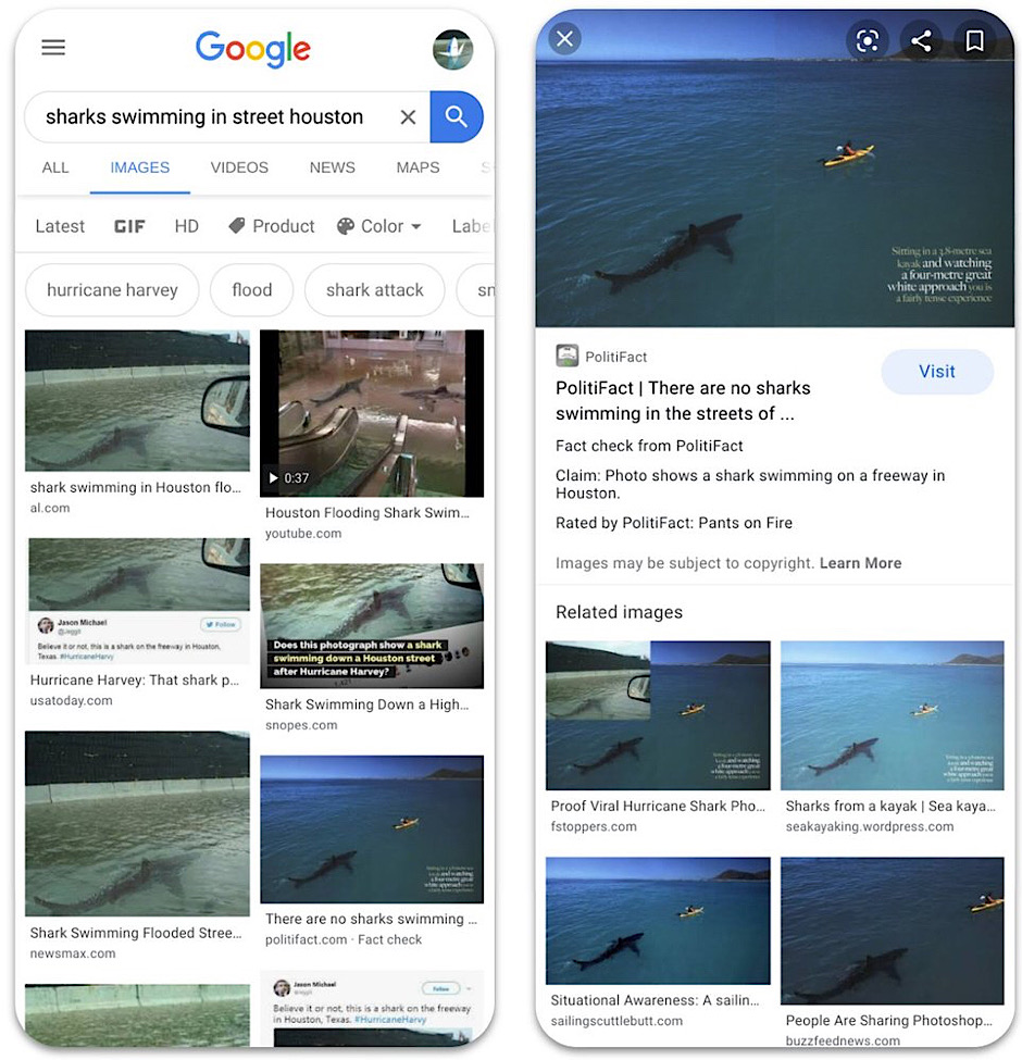 Google Image fact-checks display the claim associated with the image and a rating from the fact-checker (Google Blog)