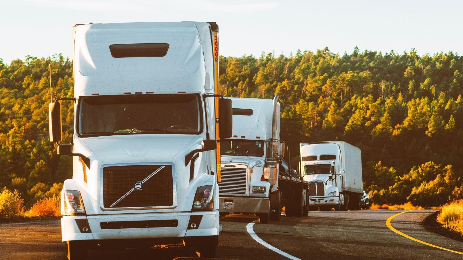 Trucker-Allianz warnt vor einer drohender Katastrophe, sollten die Impfpässe eingeführt werden