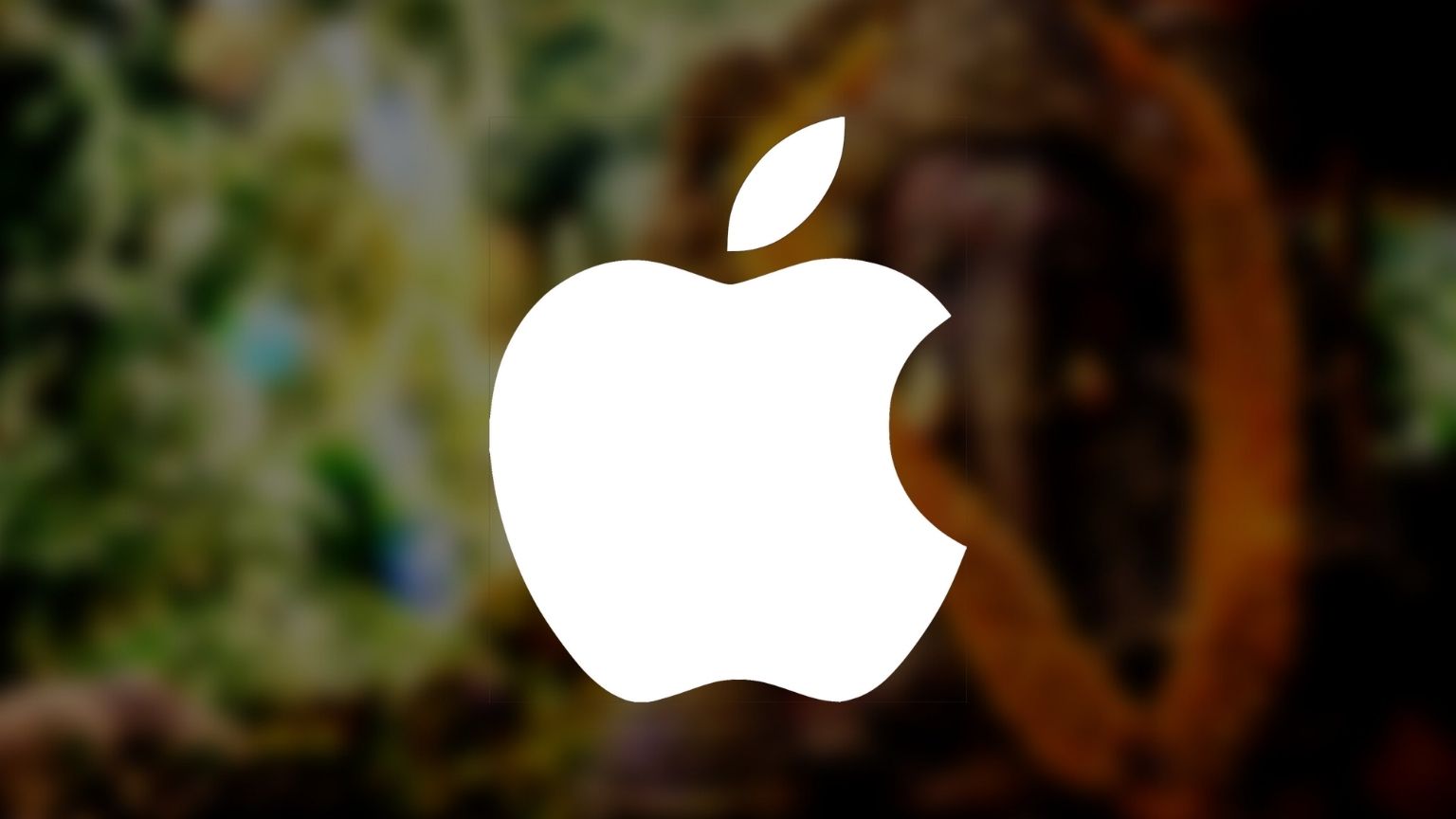 India investigates Apple’s App Store practices on antitrust grounds