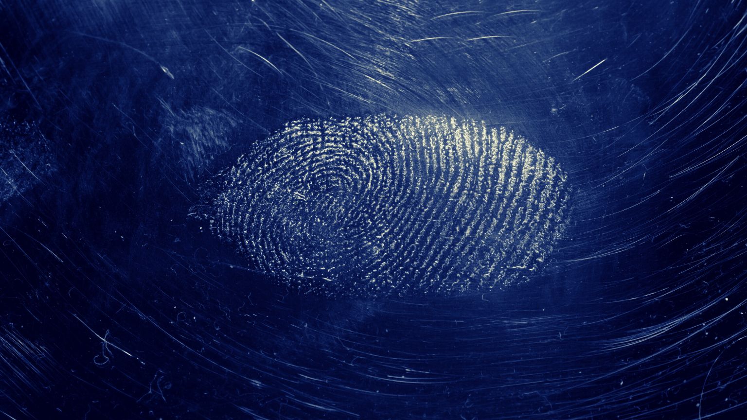 Visitors to the EU will soon have to give up their fingerprint, have their photo taken