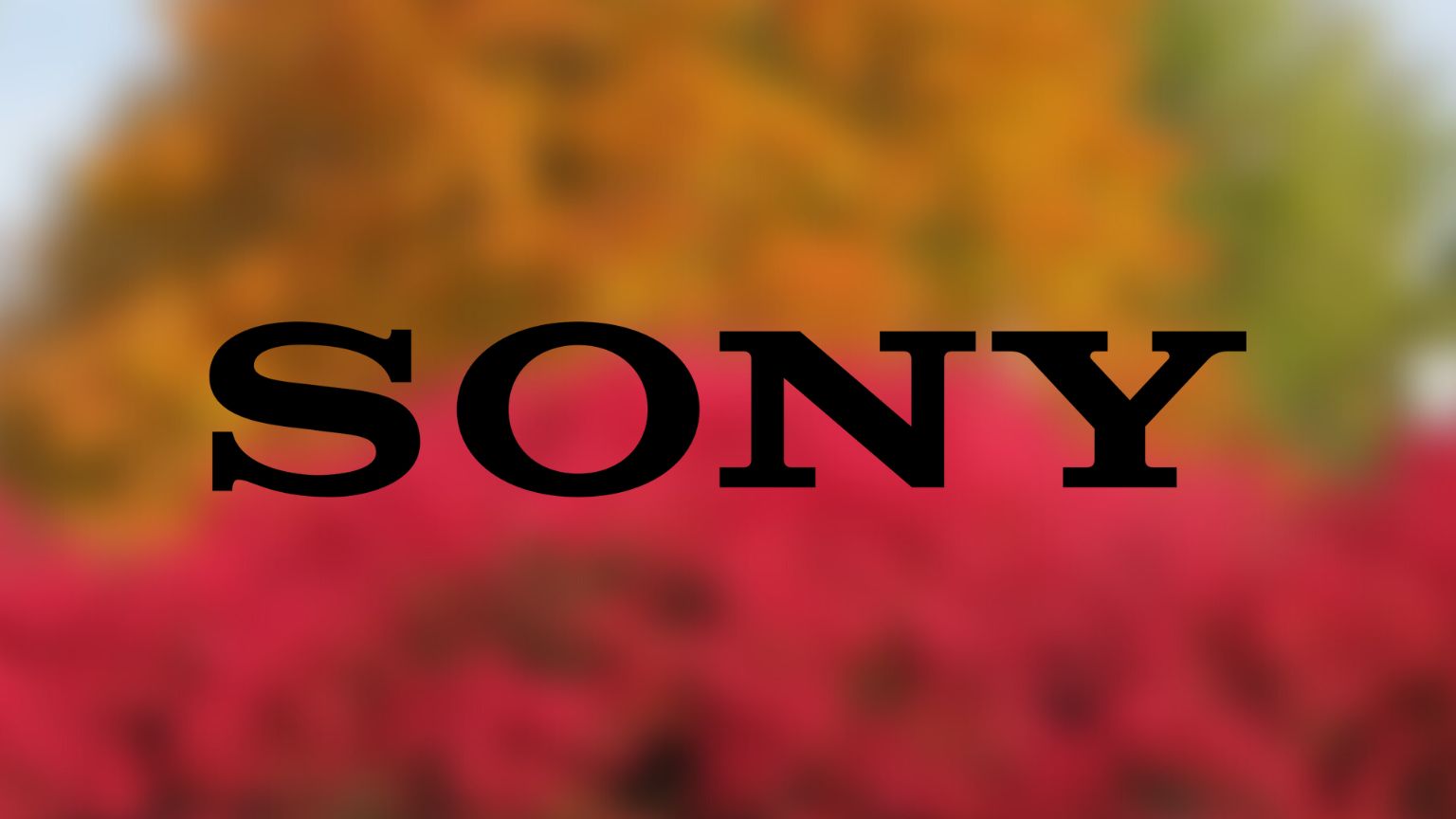 China’s Weibo bans Sony’s account