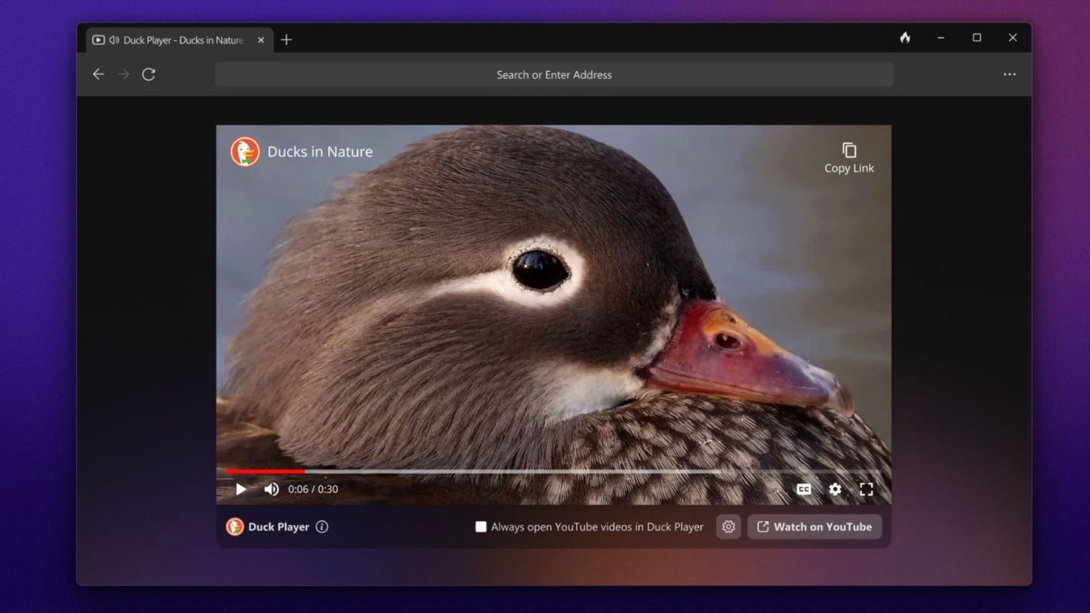 DuckDuckGo Browser Beta Arrives on Windows