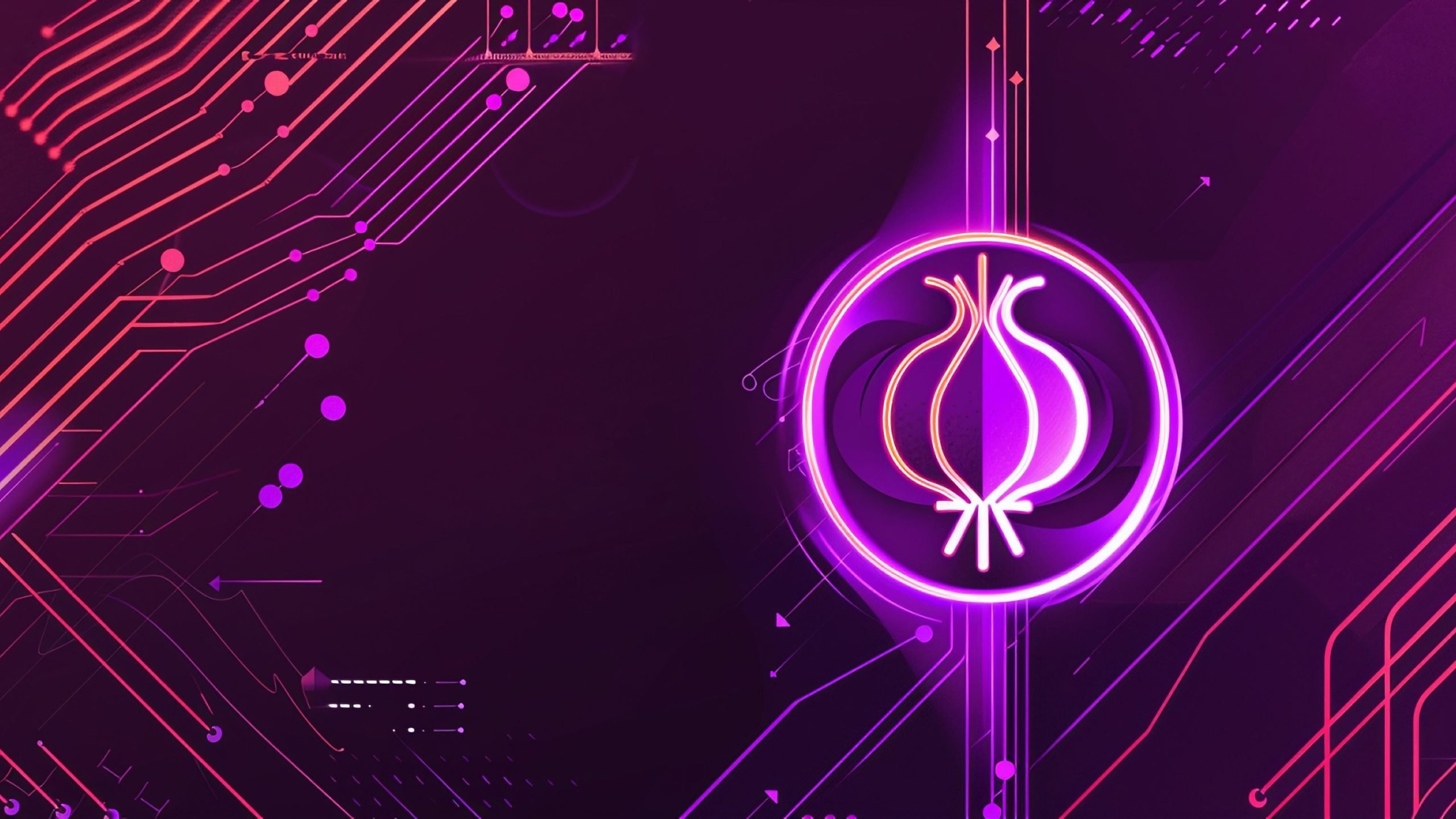 Unmasking the Onion: How Authorities Are Piercing the Tor Browser’s Private Network