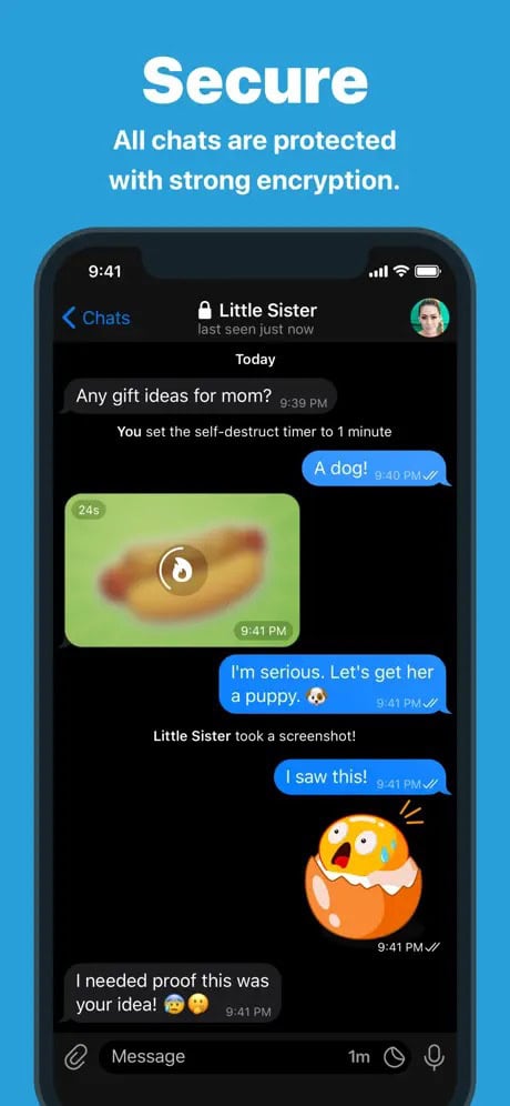 Secure messaging app interface showing an encrypted chat about gift ideas, with a 1-minute self-destruct timer, screenshot notification, and playful emoji reactions.