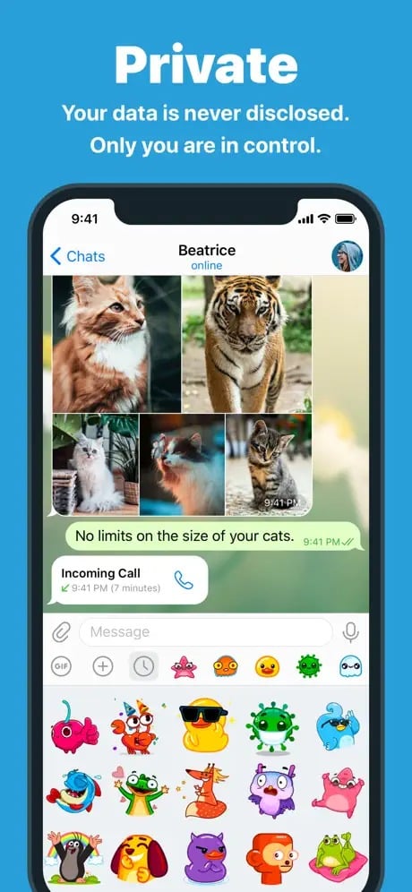 Mockup of a messaging app on a phone screen displaying a conversation with images of cats and various colorful stickers. The text reads, "Private. Your data is never disclosed. Only you are in control."