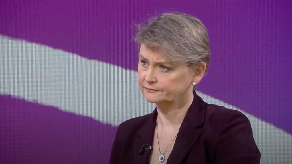 Cooper with short hair wearing a dark jacket and a pendant, set against a purple background.