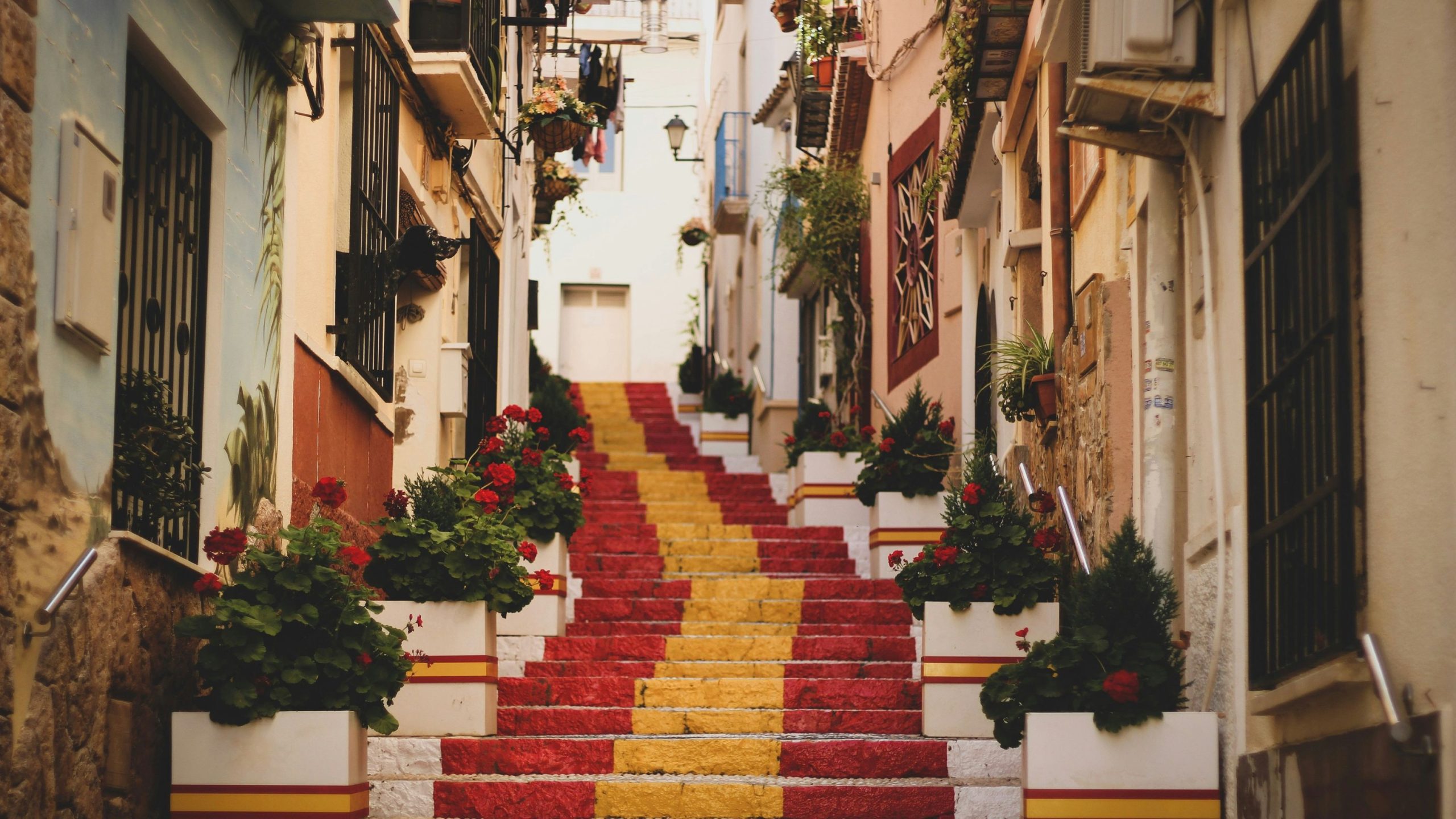 Colorful stairway painted with red and yellow stripes, surrounded by potted plants with red flowers in a narrow alleyway.