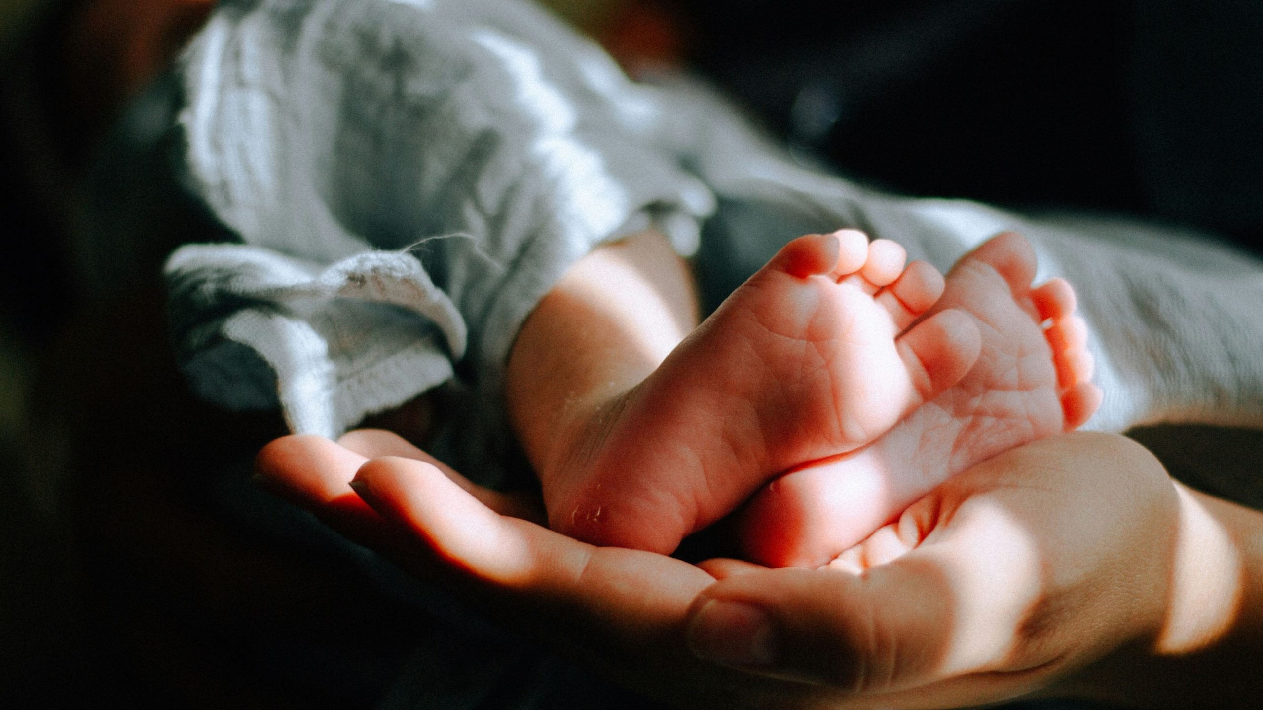 A person's hand gently holding a baby's feet, with soft lighting highlighting the scene.