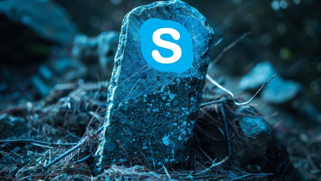 A stone with the Skype logo edited onto it, surrounded by natural debris in a dimly lit outdoor setting.