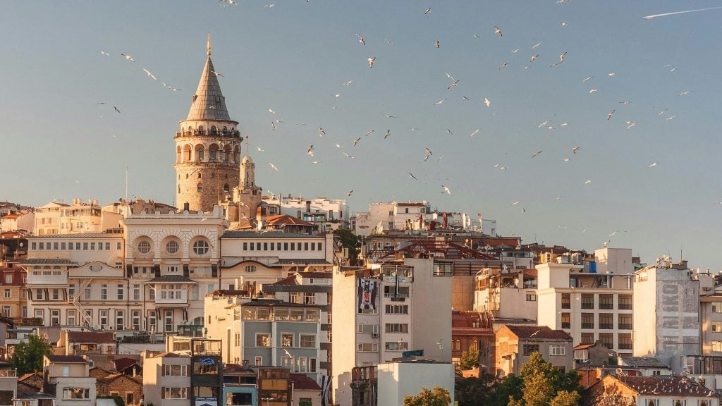 The Galata Tower rising above the historic Istanbul skyline with numerous seagulls flying in the clear sky during golden hour.