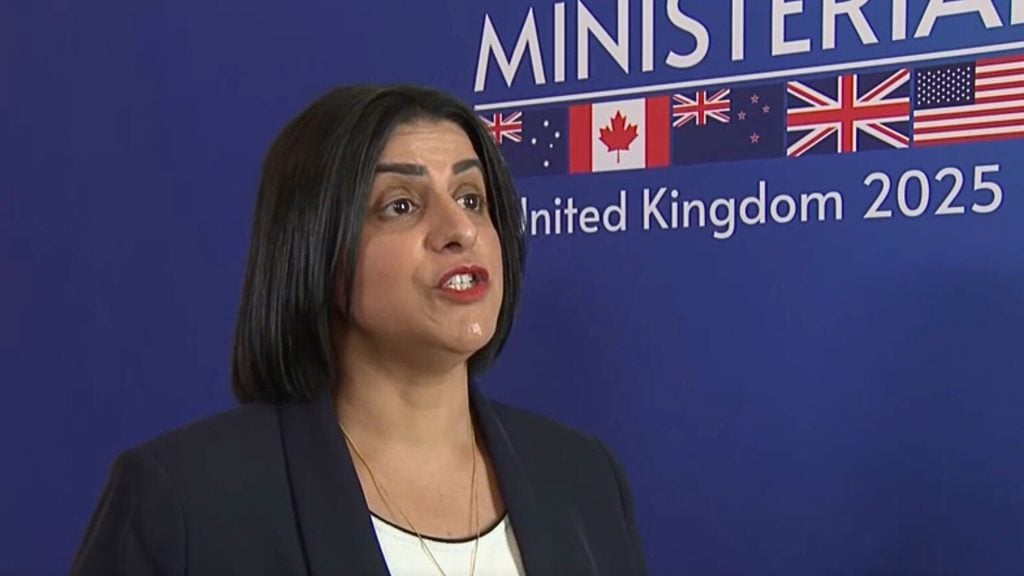 Mahmood haircut and black blazer speaking in front of a blue backdrop showing several national flags and the text 'United Kingdom 2025'.