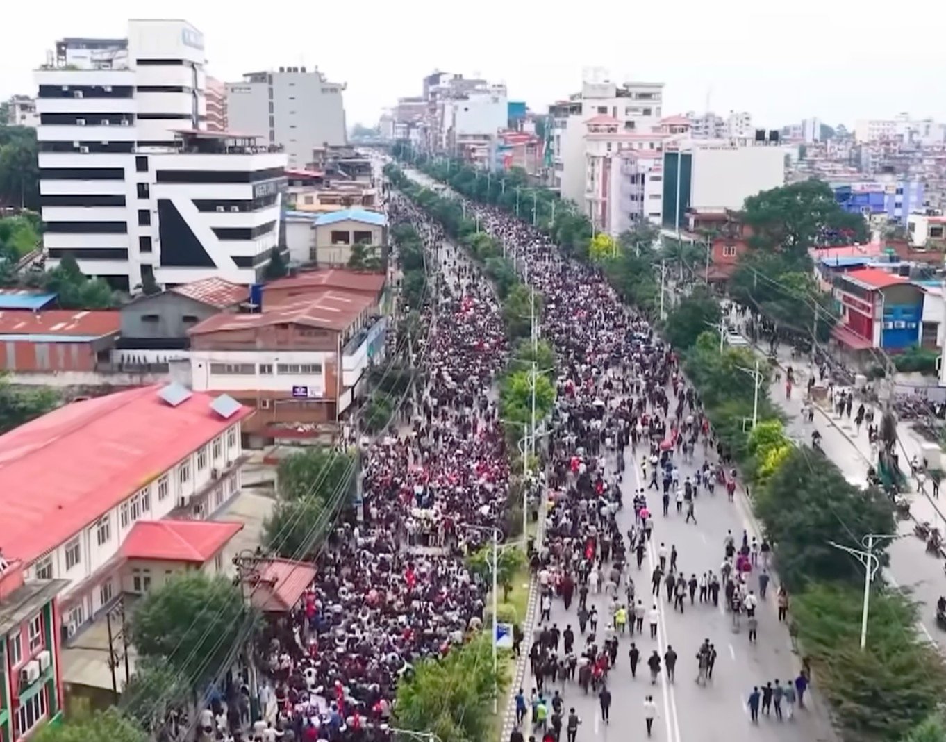 Aerial view of thousands of people marching down a wide city avenue, crowding both lanes and sidewalks between multistory buildings with a tree-lined median.