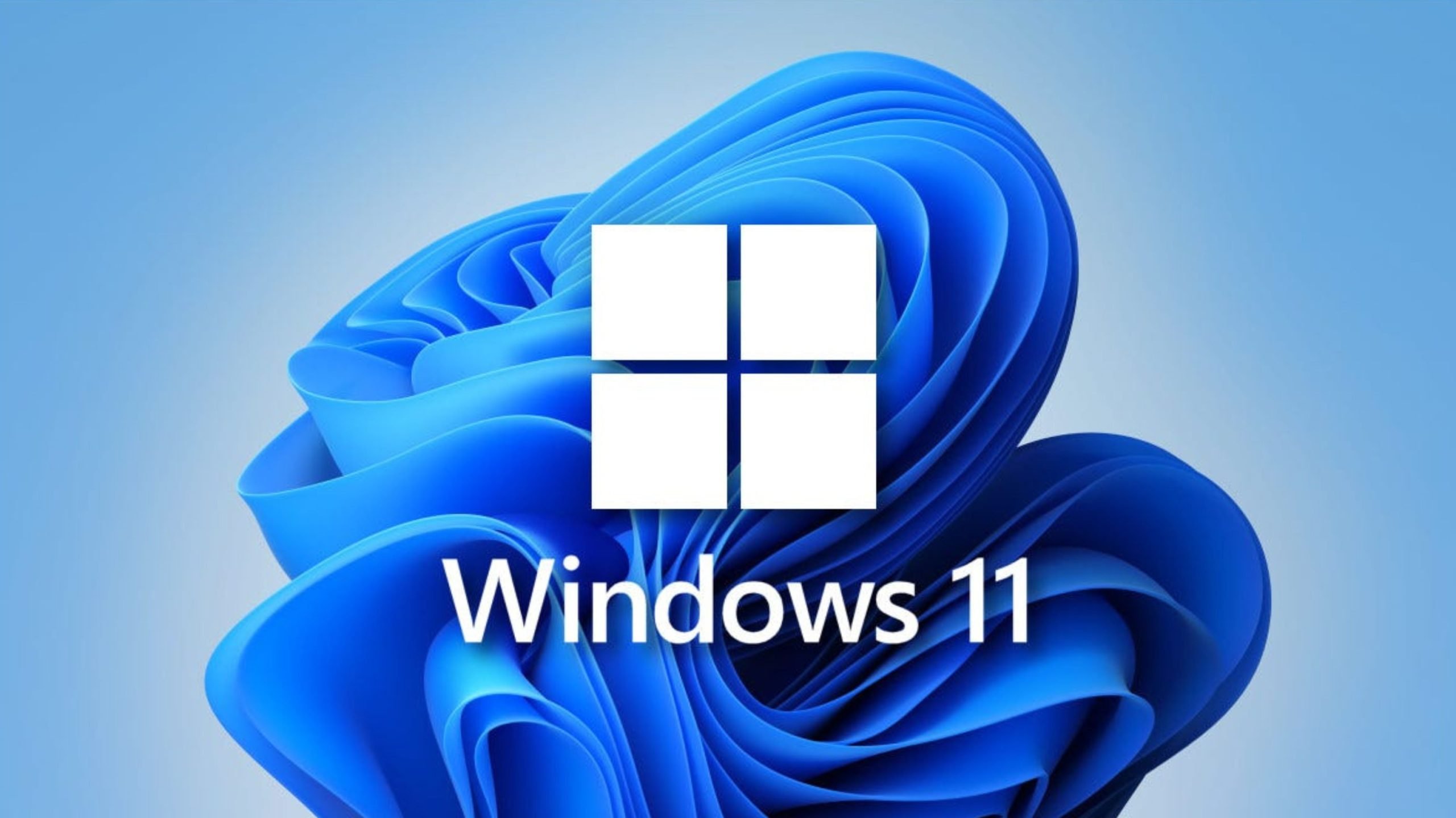 Microsoft Makes It Harder to Set Up Windows 11 Without a Microsoft Account