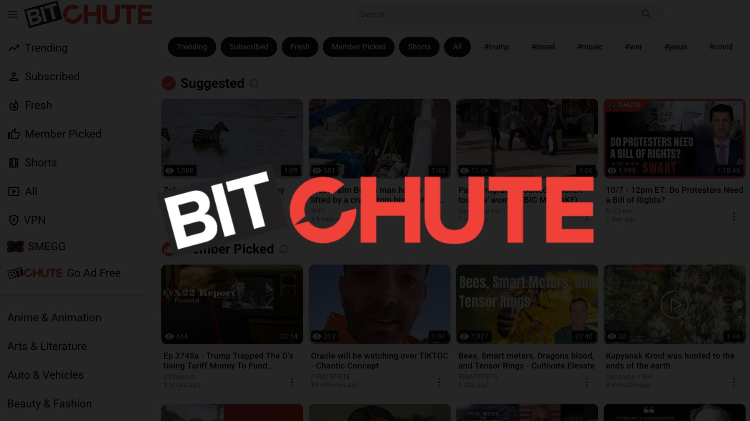 Large white and red BITCHUTE logo centered over a dimmed video-sharing website interface with video thumbnails and a left-side navigation menu visible in the background.