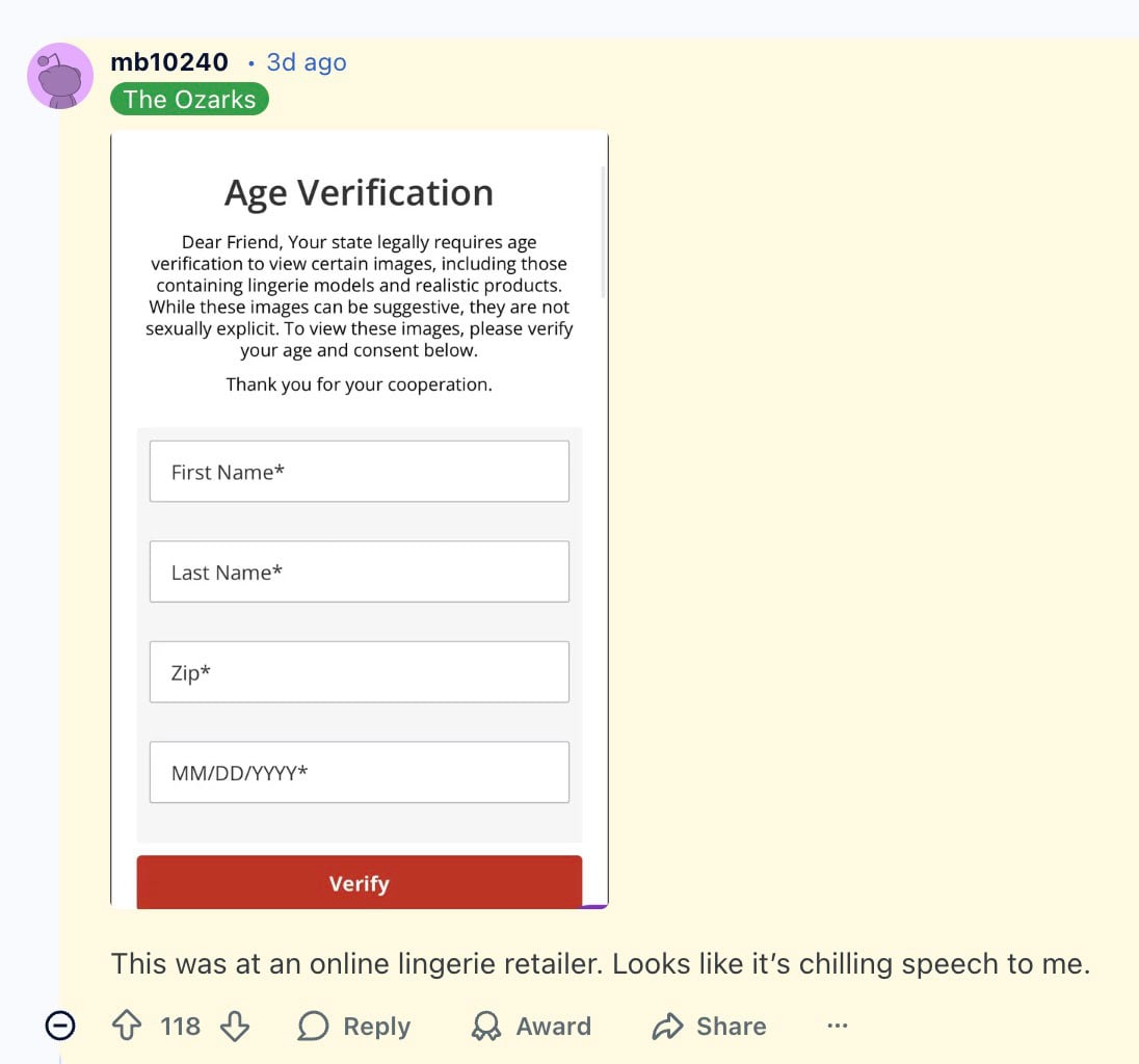 Reddit screenshot showing an Age Verification popup: headline "Age Verification", a paragraph stating the state requires age verification to view certain images including lingerie models and realistic products, input fields labeled First Name*, Last Name*, Zip*, MM/DD/YYYY*, and a red "Verify" button, with the commenter noting it came from an online lingerie retailer.