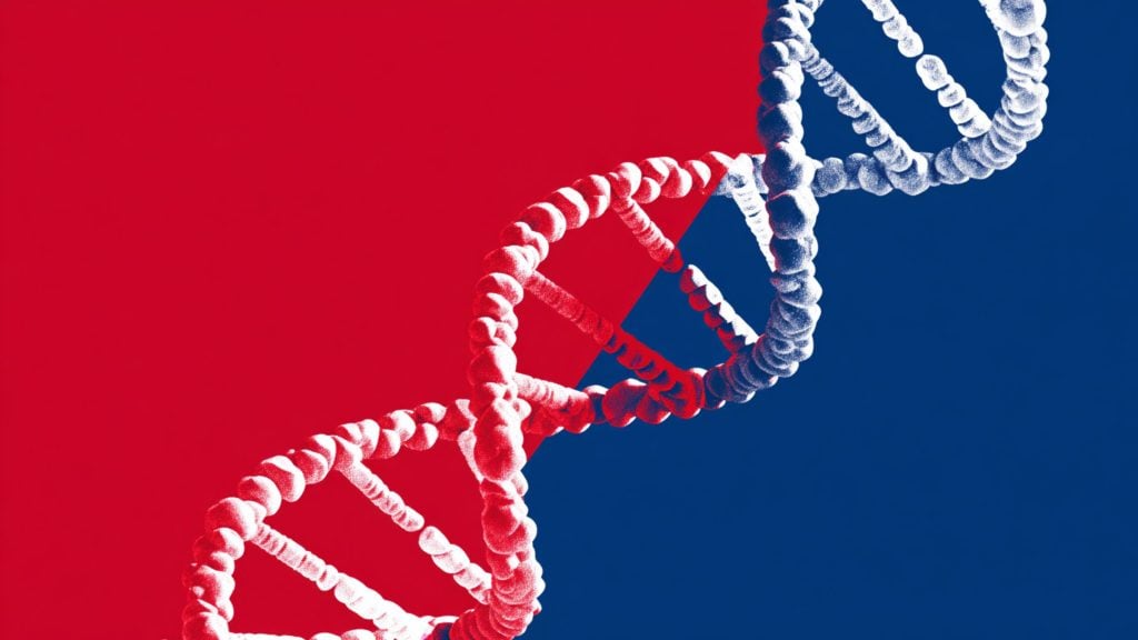 Stylized DNA double helix of granular, bead-like segments diagonally across a split red (left) and dark blue (right) background, with one strand shaded red and the other white-blue.